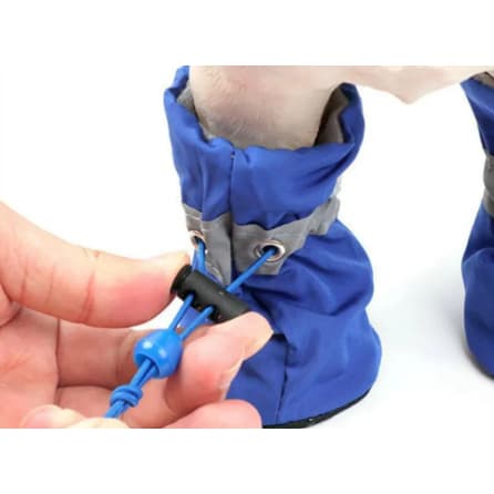 Sapato para Cachorro | Botinha para Cachorro | Sapato para Pet