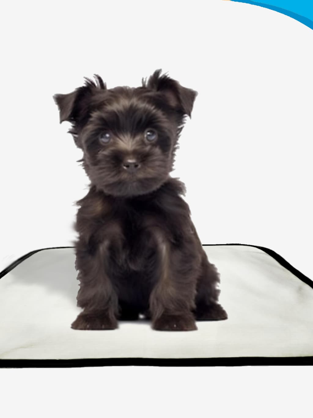 Tapete higiênico lavável, reutilizável, Tapete de piso para cães, Tapete para animais de estimação