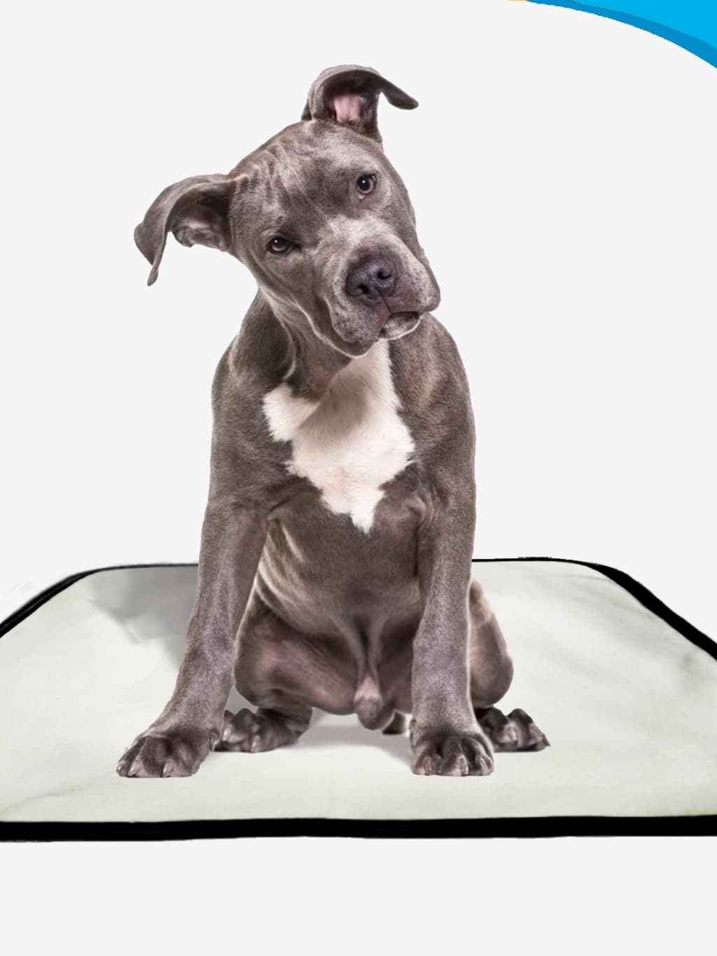 Tapete Higiênico Lavável 03 unidades, reutilizável, Tapete Lavável para Animais de Estimação
