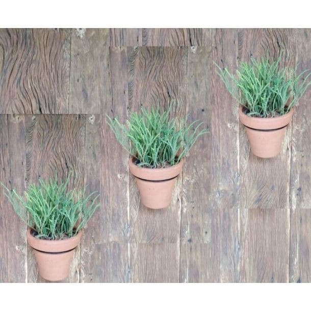 Suporte Anel 16cm Parede Para Vaso Auto Irrigável + Bucha e Parafuso