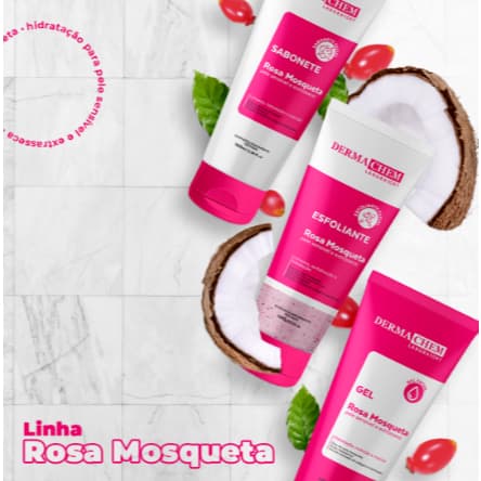 kit Completo Skin Care Rosa Mosqueta Sabonete Esfoliante Gel Hidratante
