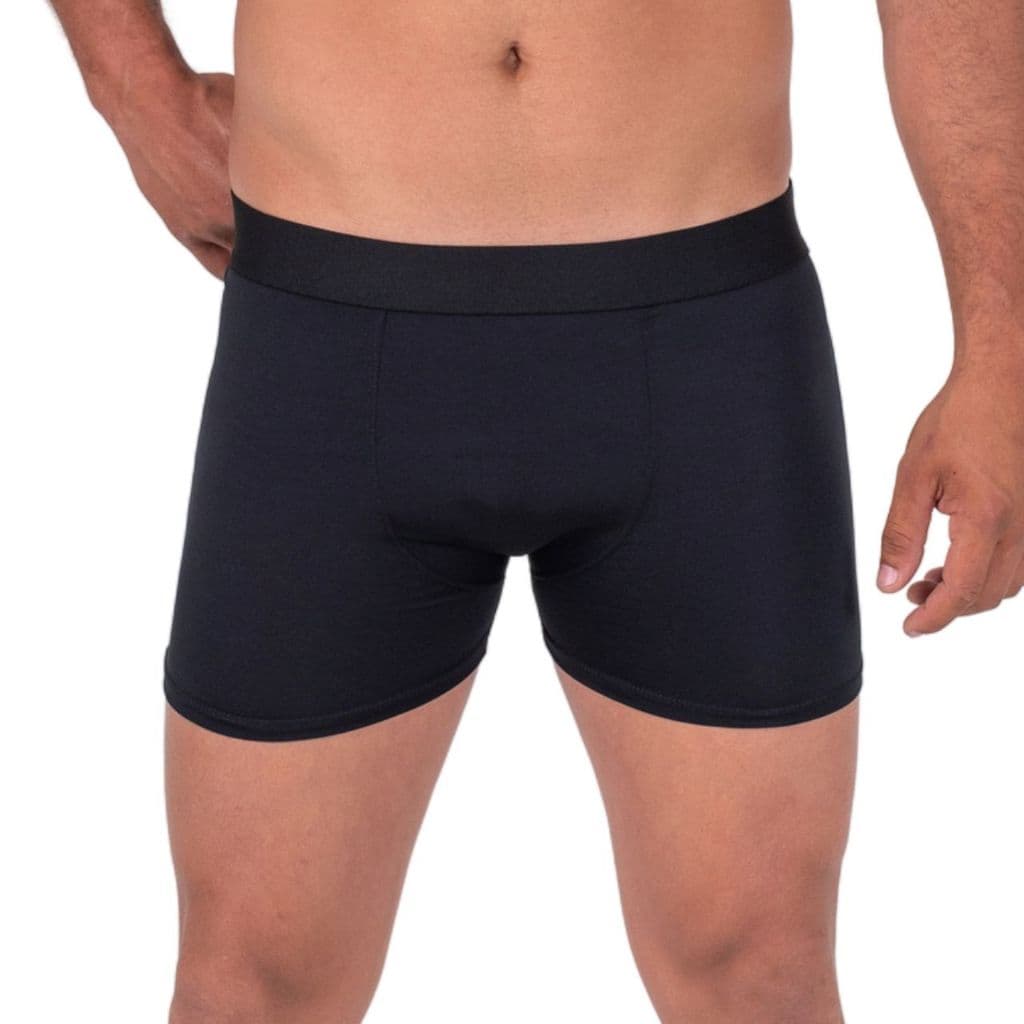 Kit C/10 Boxer Lisa Basica Cueca Box masculino com forro