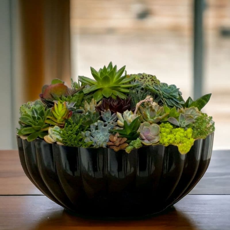 Vaso de Plantas  Bacia Grande Decorativo Polietileno 35x12