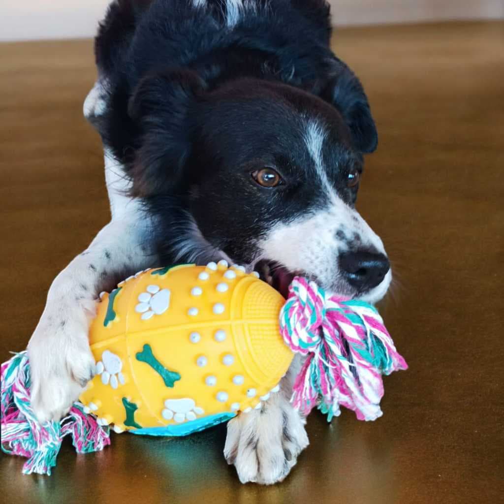 Brinquedo Pet Bola Futebol Americano Grande C/ Corda 30 cm Cães Médio e Grande Porte