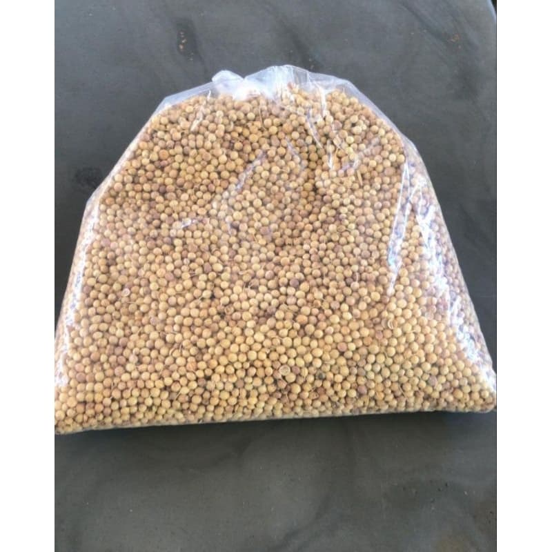 Coentro em Grão para Consumo,Plantio,Natural do Norte de Minas Gerais 300g