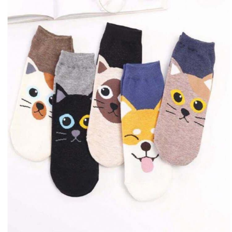 Kit 6 Pares Meia Cano Curto Moda Feminina Estampadas Bichinhos Conforto