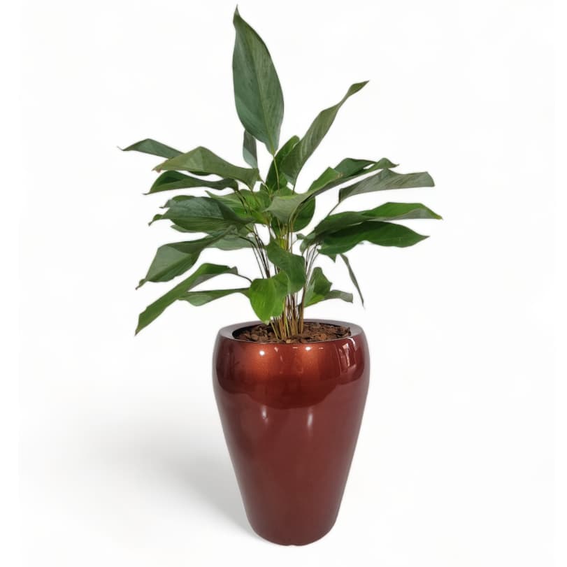 Vaso Decorativo Para Planta em Fibra de Vidro - 46cm - Topázio - P