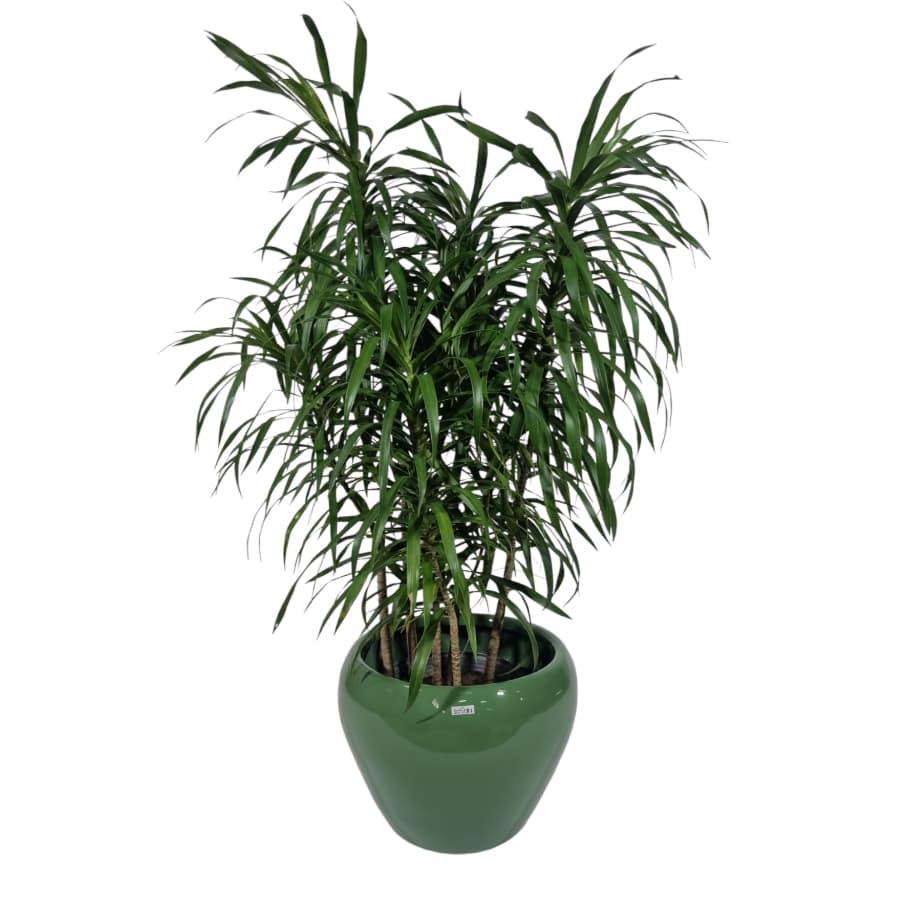 Decoração para sala Vaso Decorativo Moderno Vaso para planta pequena 27cm Onix
