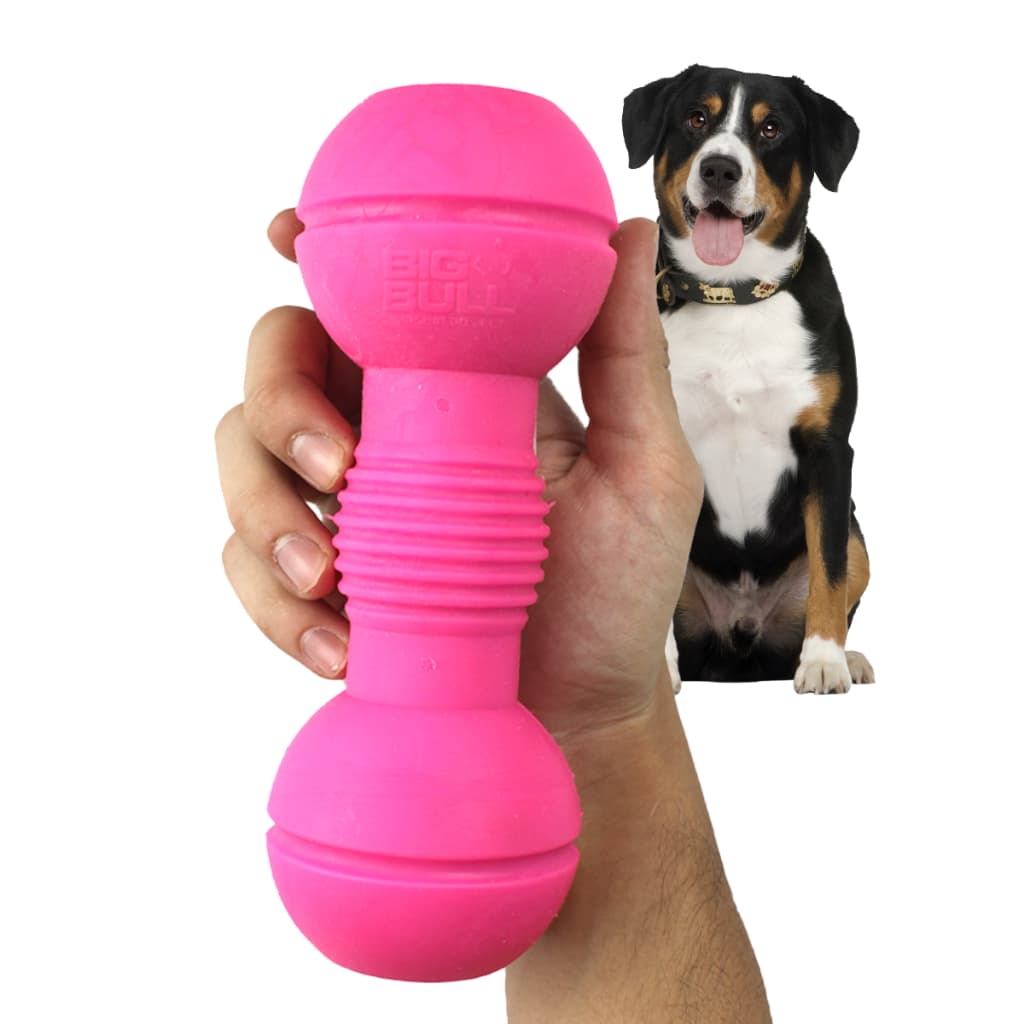 Brinquedo Cachorro Mordedor Pet Halter Interativo Haltere Resistente Porte Médio Grande Big Bull Pet