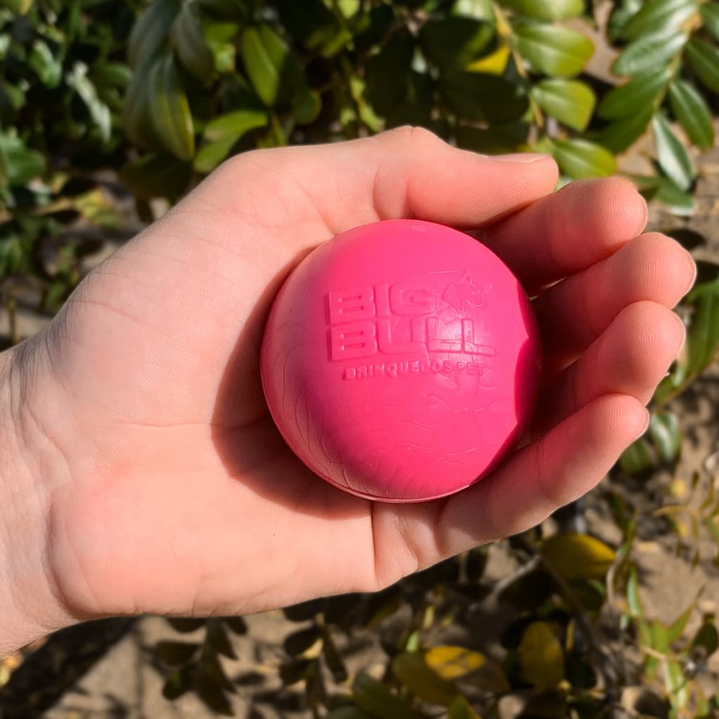 Brinquedo Cachorro Pet Bolinha Interativa Bola Maciça Resistente Pula Pula Porte Médio Big Bull Pet