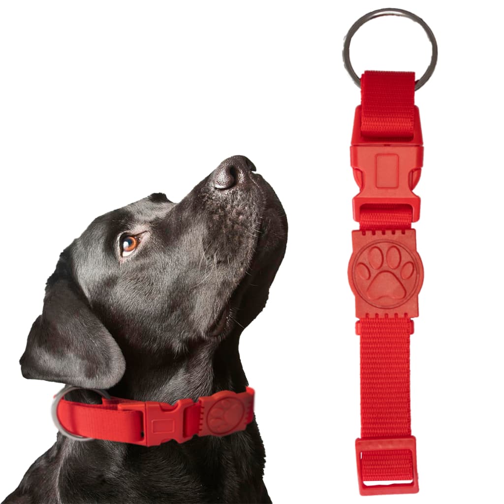 Coleira para Cachorro porte grande reforçado ajustável