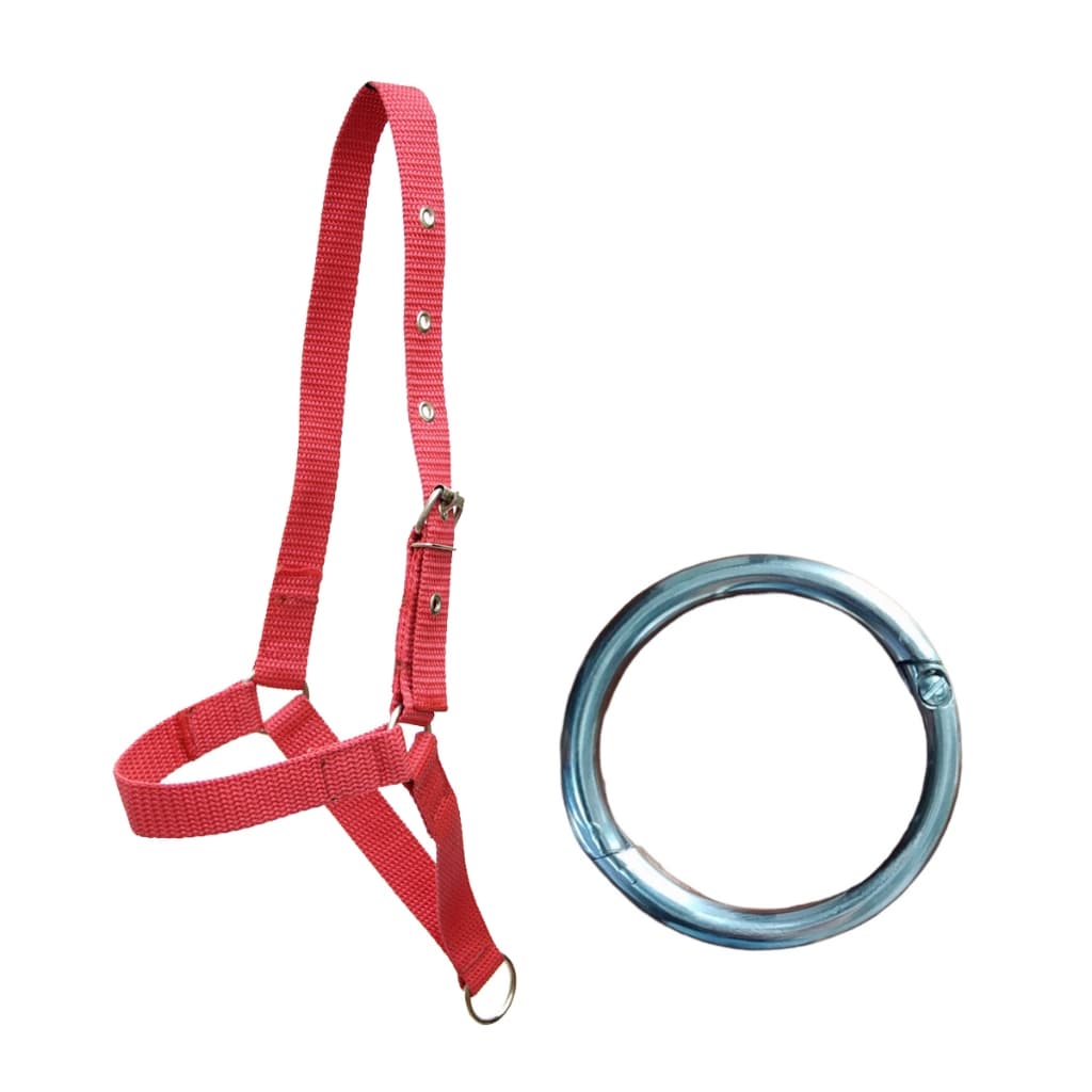 Kit Para Boi Vaca Touro Cabresto Com Regulagem E Argola Formiga Nariz Manejo Tropas