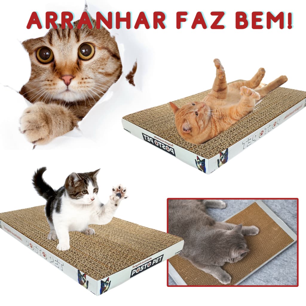 Arranhador Interativo Para Gatos Anti Estresse