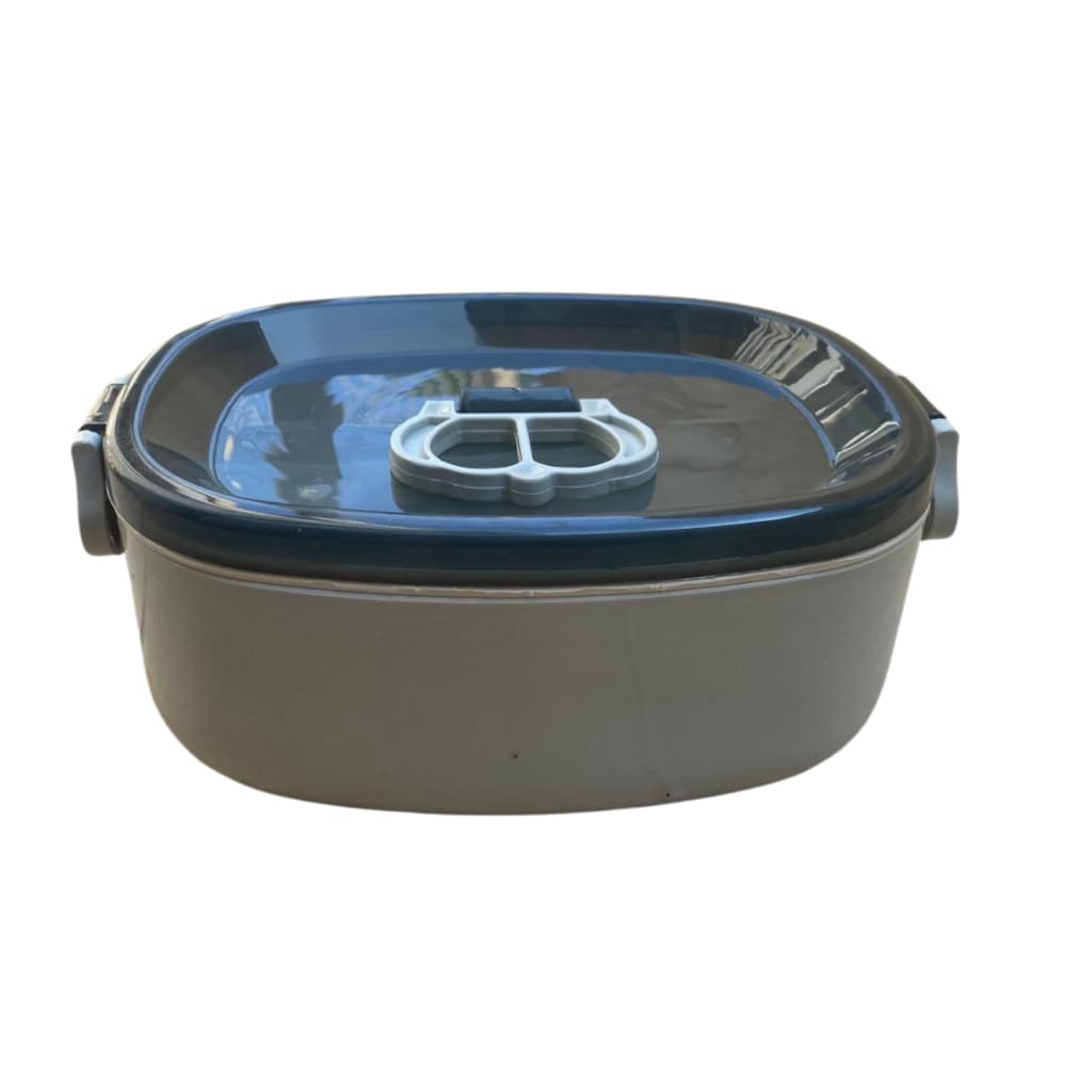 Pote Marmita Com Tampa Divisória Plástica Vasilha 600ml