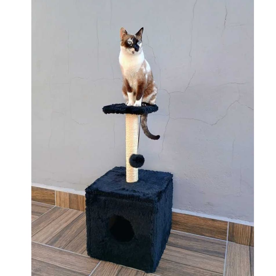 Arranhador Para Gato poste sisal com Brinquedo Toca para Gato Caixa Confortável