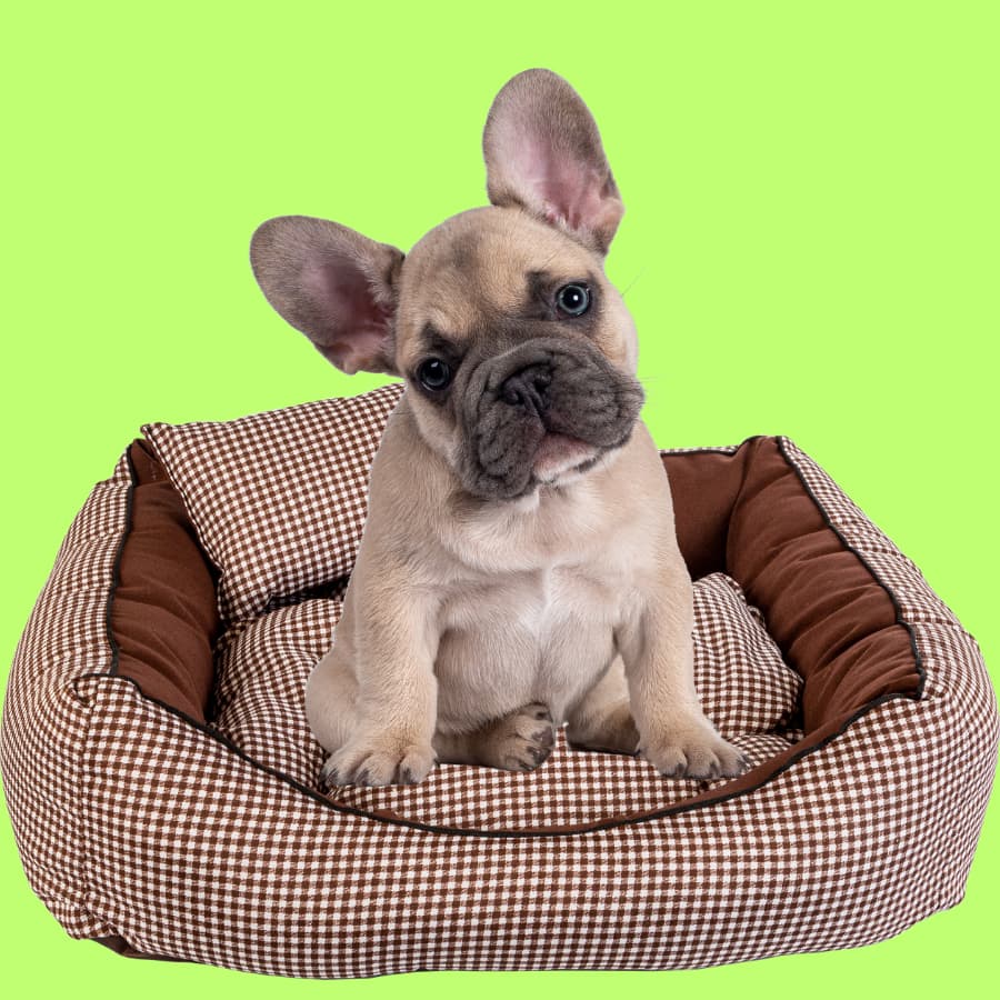 Cama Caminha pet cachorro gato luxo com travesseiro e almofada dupla face, cor xadrez