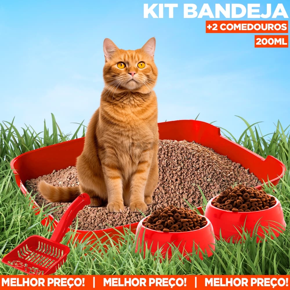 Kit de Gato Bandeja Caixa de Granulado Sanitário Higienico com Pazinha Cata Caca Comedouro e Bebedouro para Gato Cães