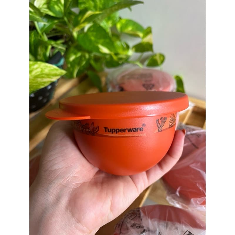 Tigela Murano 200ml - Cactos e suculentas cor laranja