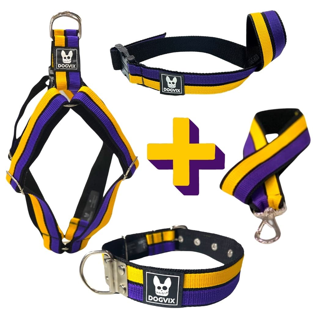 Kit Coleira Peitoral Cachorro com Guia Para Cachorros Raças Medias e Grande Porte Resistente