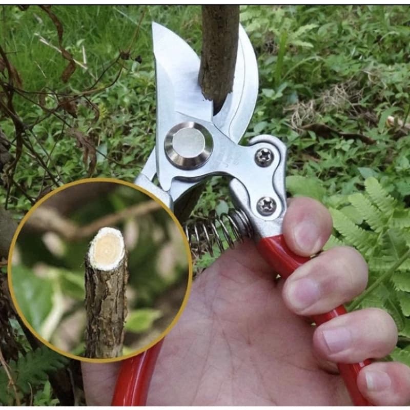 Tesoura Poda Profissional Jardinagem/Aparador De Árvores