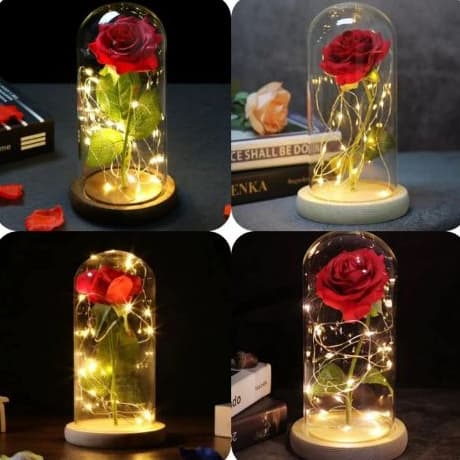 A Rosa Encantada da A Bela e A Fera - Presente - Rosa vermelha - Flor