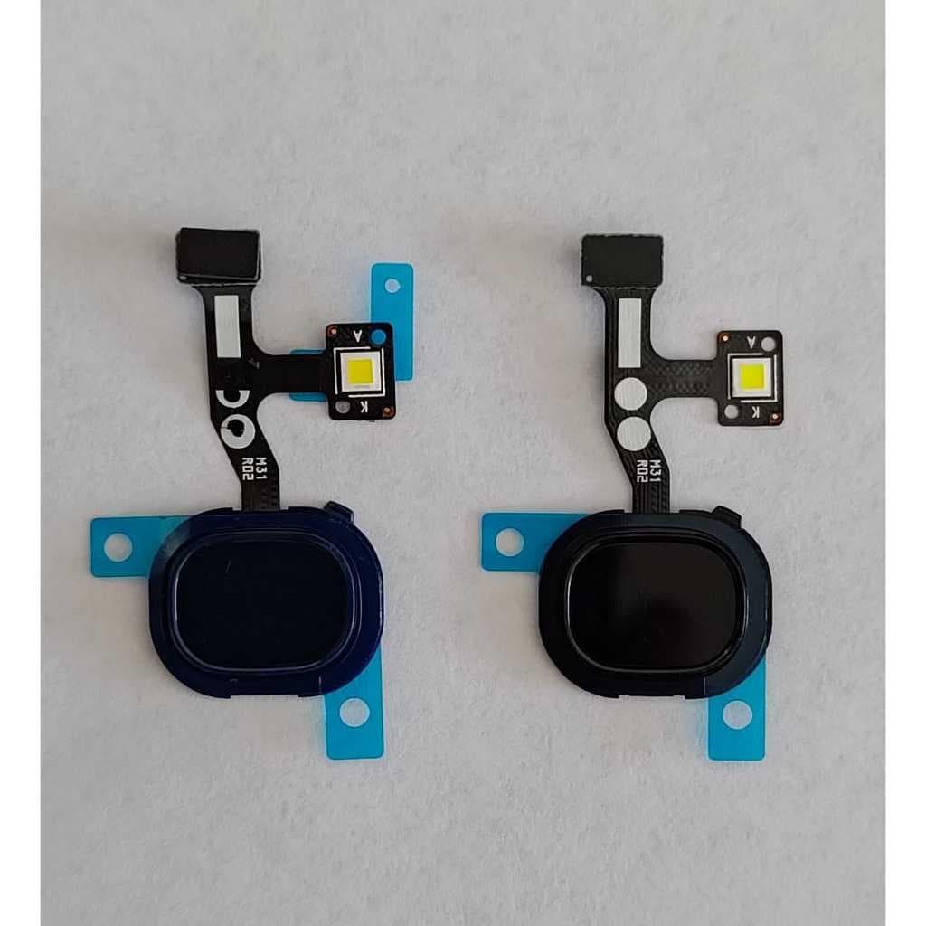 Flex Biometria e Flex Modelo Galaxy M31 #ORIENTALFLEX