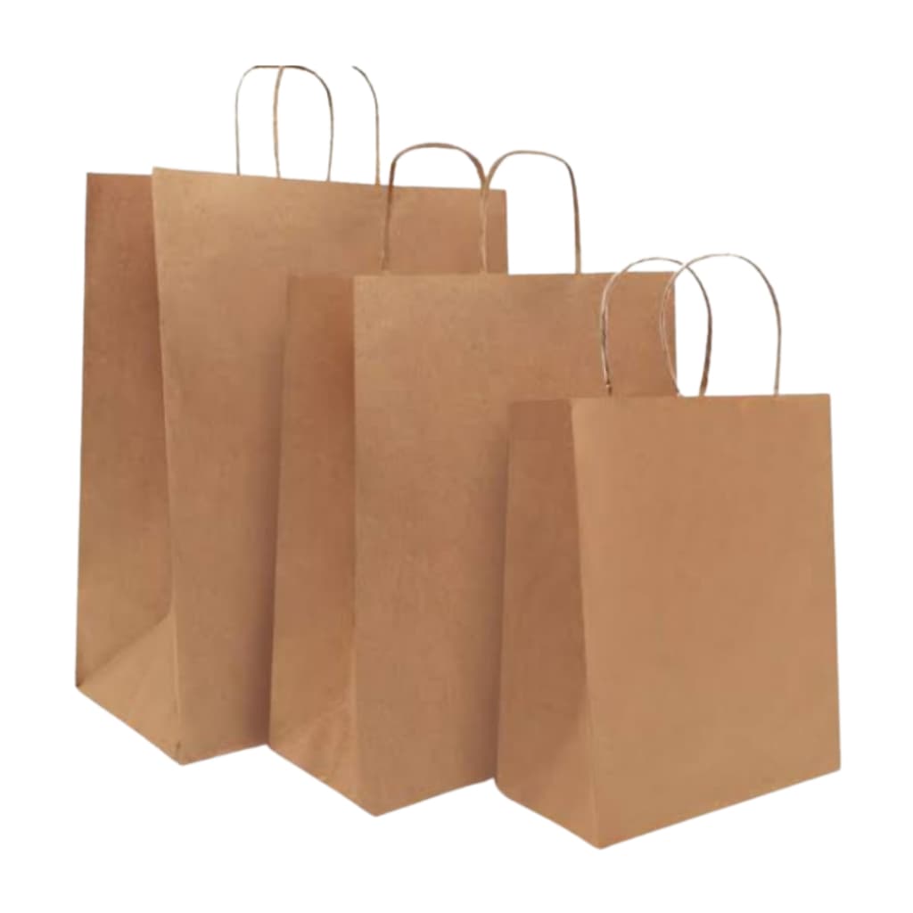10 Sacolas Papel Kraft de Tamanhos Variados