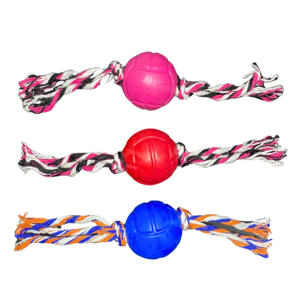Bola Maciça Lisa Bone Brinquedo para Cachorro Pet Animais Sortida 45Mm