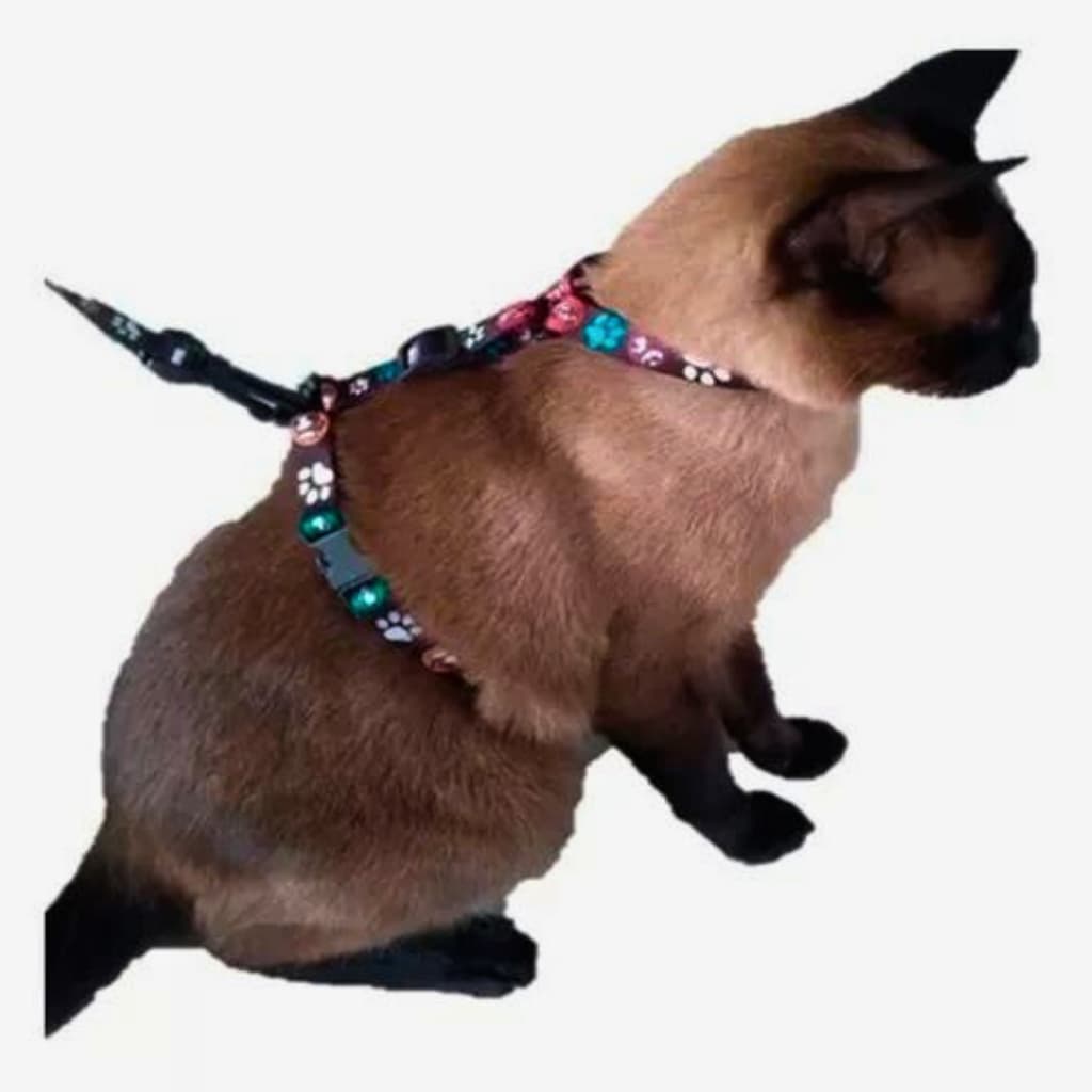 Kit Peitoral H e Guia Gatos cachorro Micro Passeio ZaraBlue