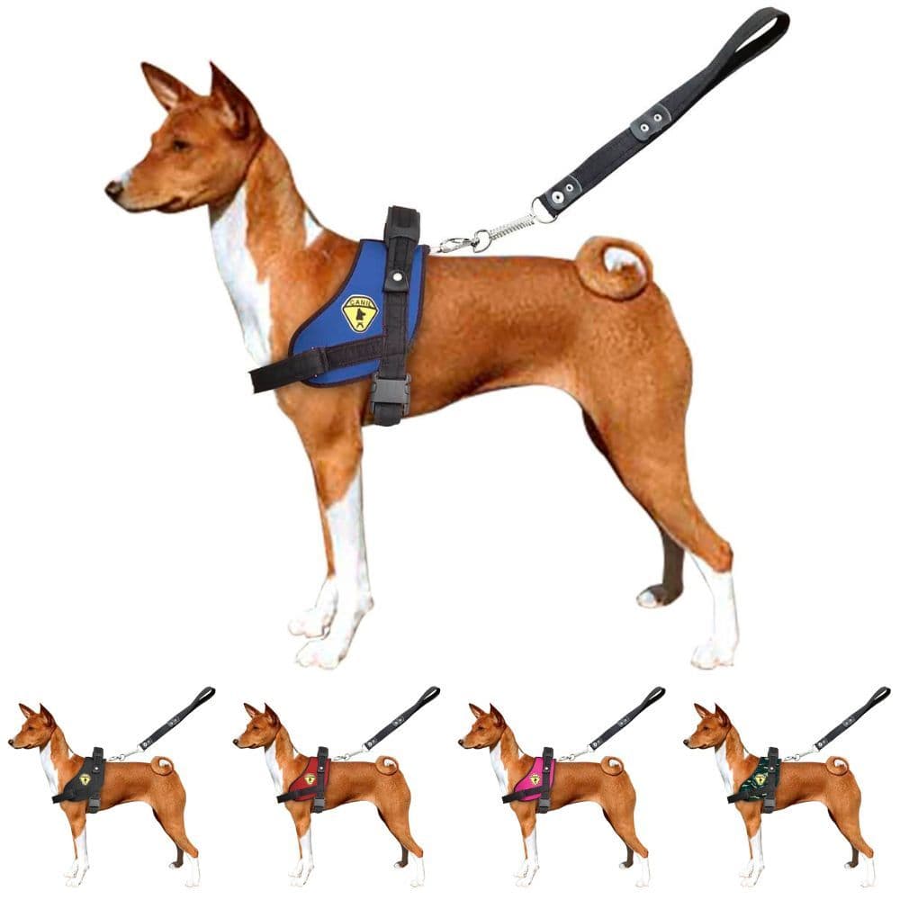 Peitoral Coleira Guia Para Cães Stilo Alça Reforçada Treino