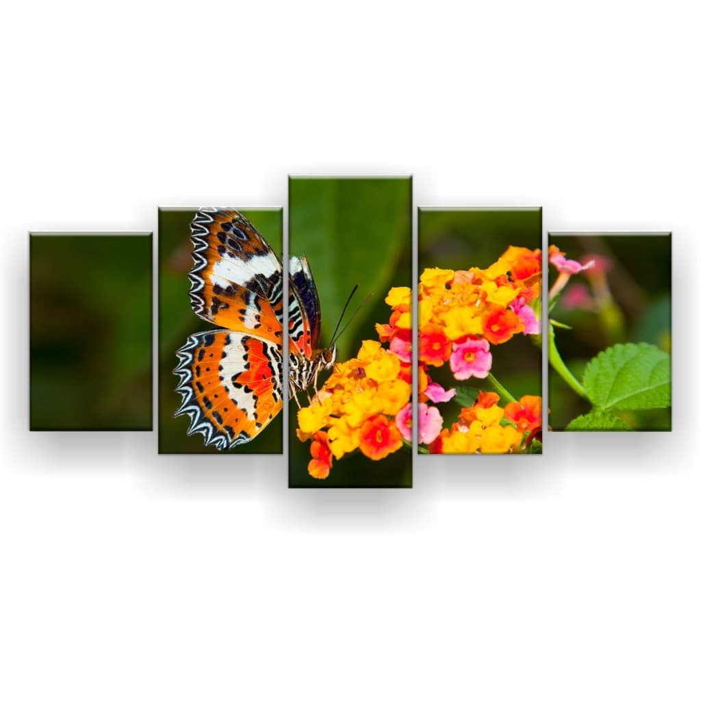 Quadro Decorativo Borboleta Laranja
