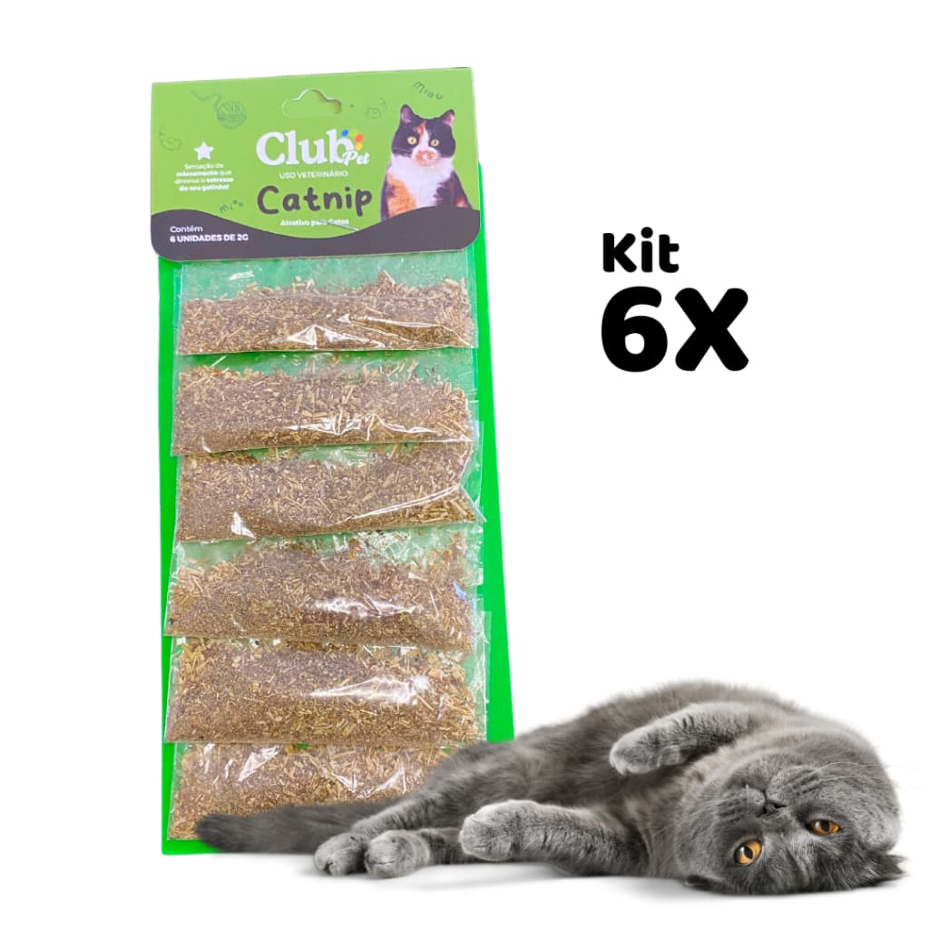 Kit 6 Unidades Catnip Erva para Gatos Pet  2g
