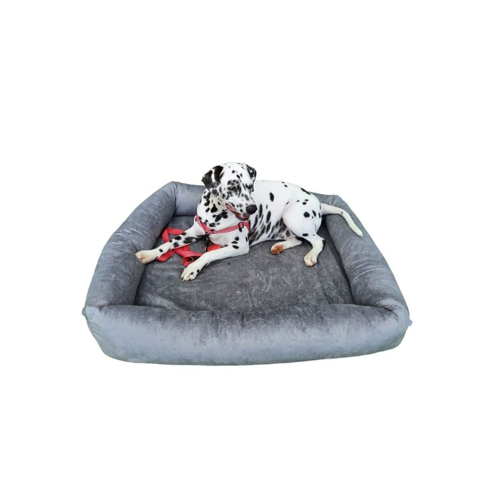 Cama Para Cachorro Grande 100x84 Cm + Capa Extra - Cores!