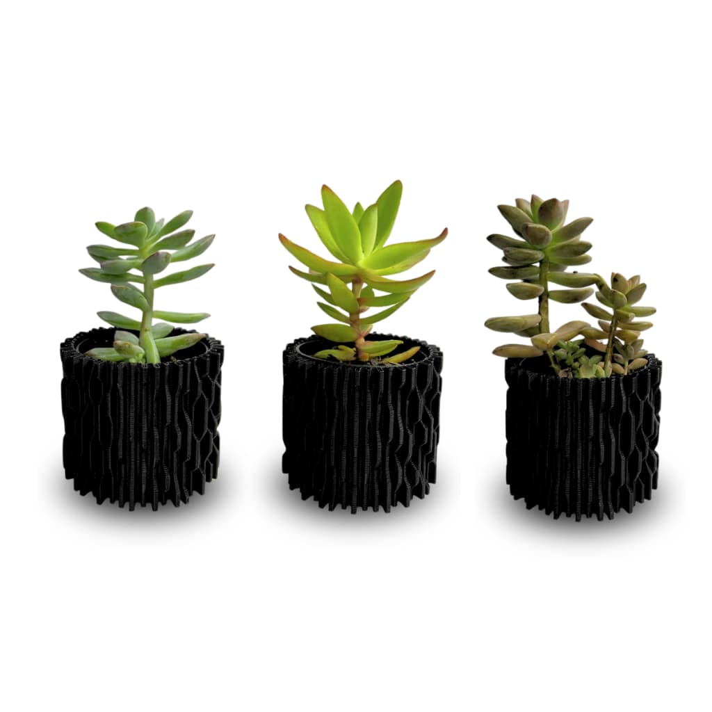 3 Vasos para suculentas cactos ou plantinhas artificial