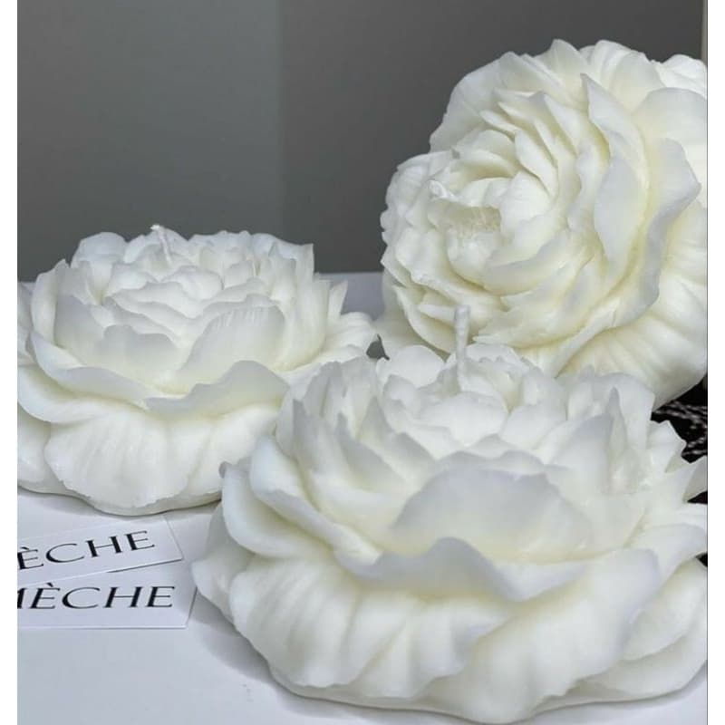 Kit de Velas aromática flor de Peônia/ Vela perfumada decorativa