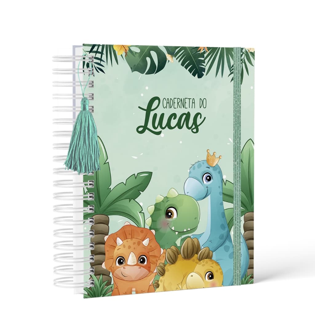 Caderneta de Saúde/Vacina - Capa Dura - Menino - Personalizada - Vários Temas 6