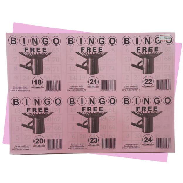 Bloco De Bingo Sextuplo Rosa