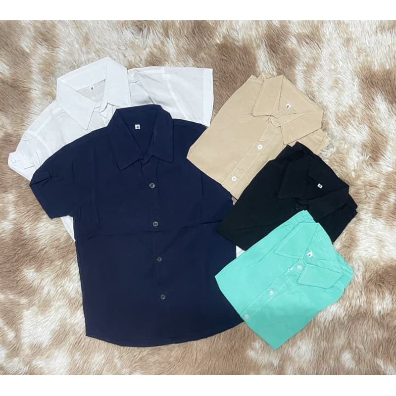 Camisa Social Básica Menino Infantil  Multicolorido