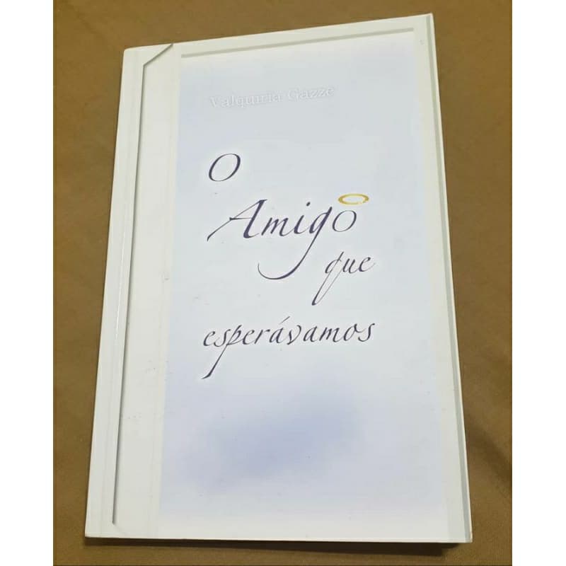 Livro O Amigo que esperávamos de Valquíria Gazze