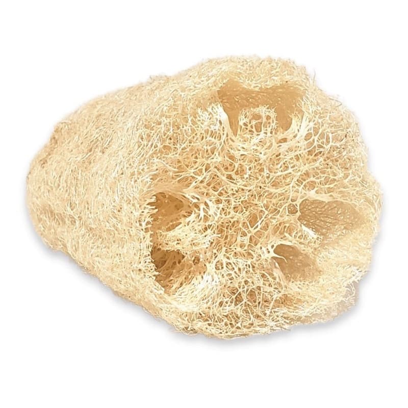 Esponja Vegetal Bucha Natural 100% Ecológica Perfeita Para Louças e Banhos