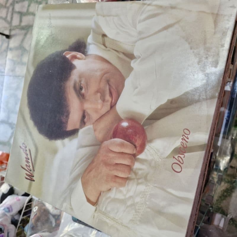 Disco LP  Viníl - Wando Obsceno com cifras