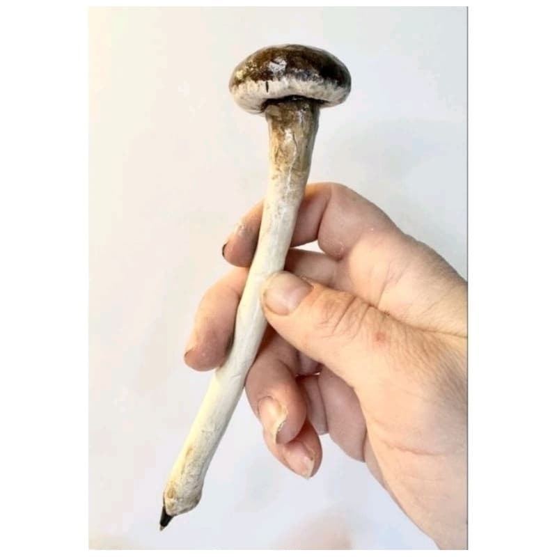 Caneta Personalizada