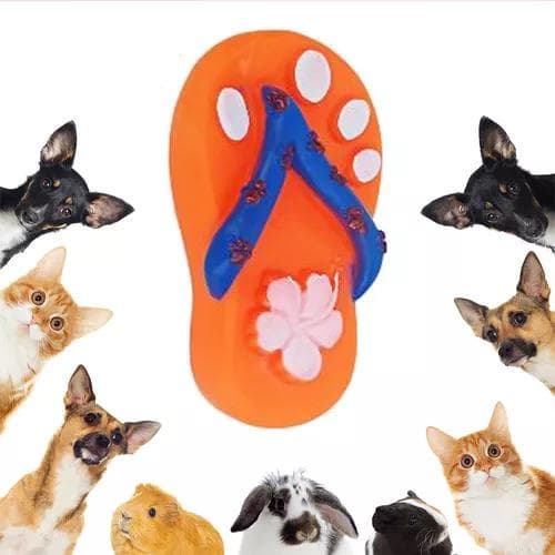 Brinquedo Mordedor Chinelo Para Cachorros Cães  Pet Shop