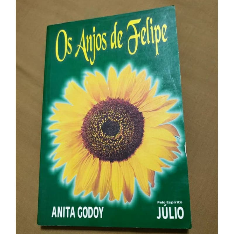 Livro Os Anjos de Felipe de Anita Godoy