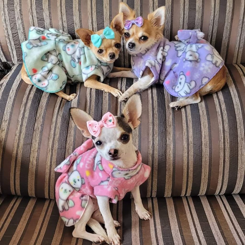 Vestido pet inverno para cachorro e gato roupa pet soft
