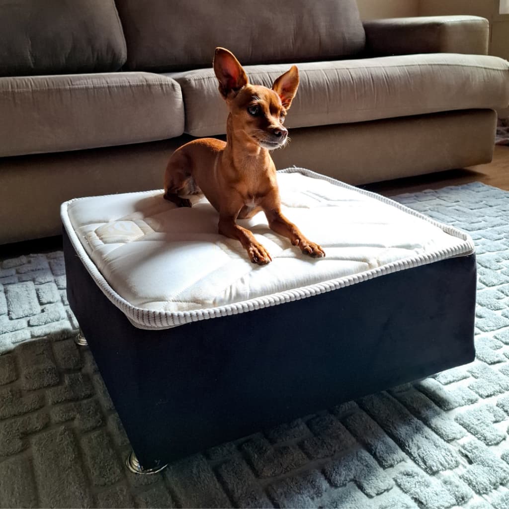 Cama para cães e gatos - 40x50x20cm - CAMAPET