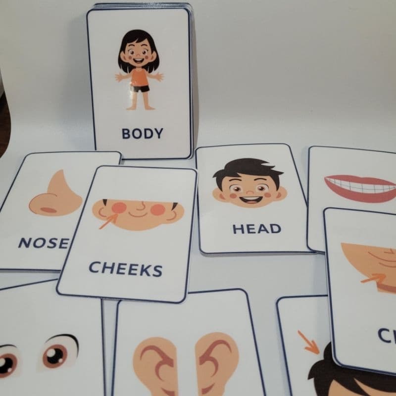Cartões parte do corpo em inglês ou português