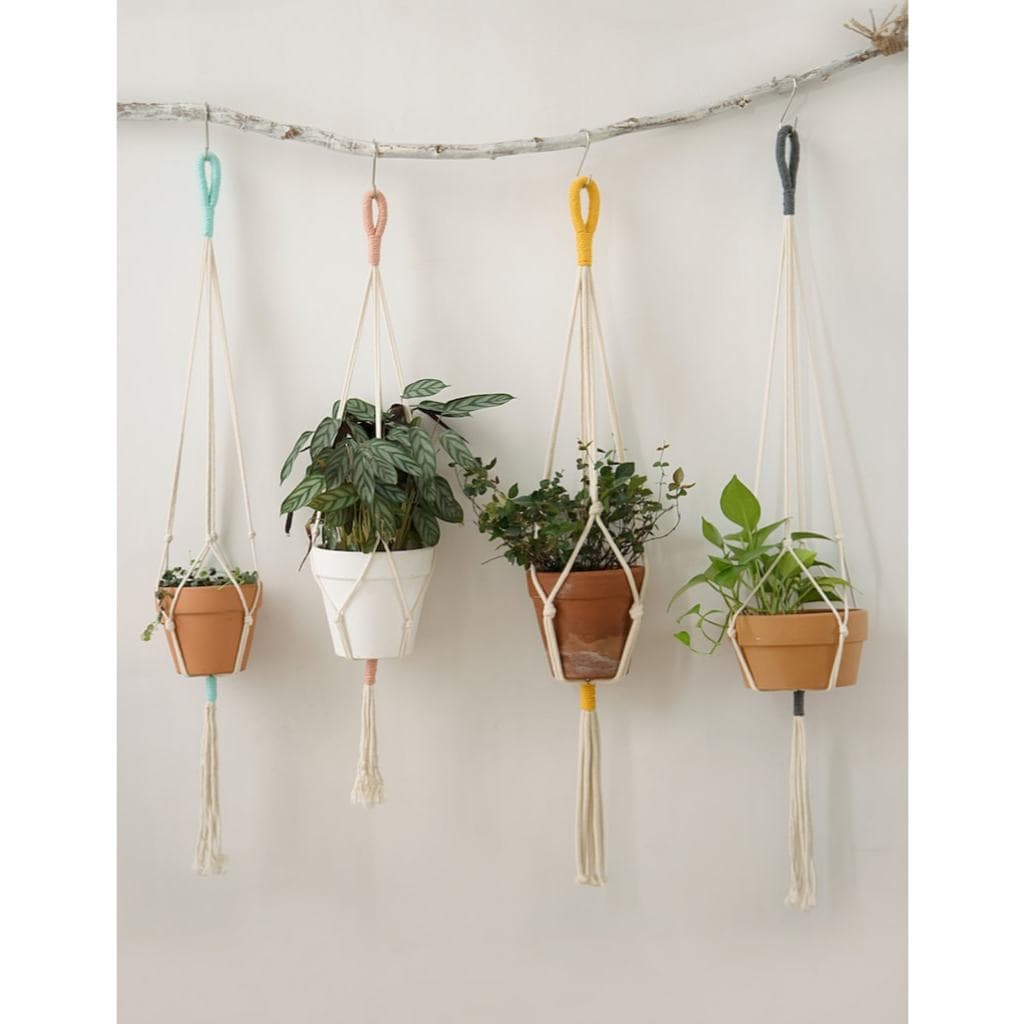 Kit 4 Suporte para plantas ponta de cores , plantas penduradas .