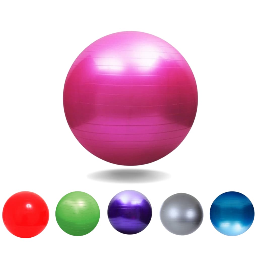 Bola Pilates Yoga 65 cm Abdominal Ginástica Suíça Funcional Fisioterapia Cross Treino Alongamento