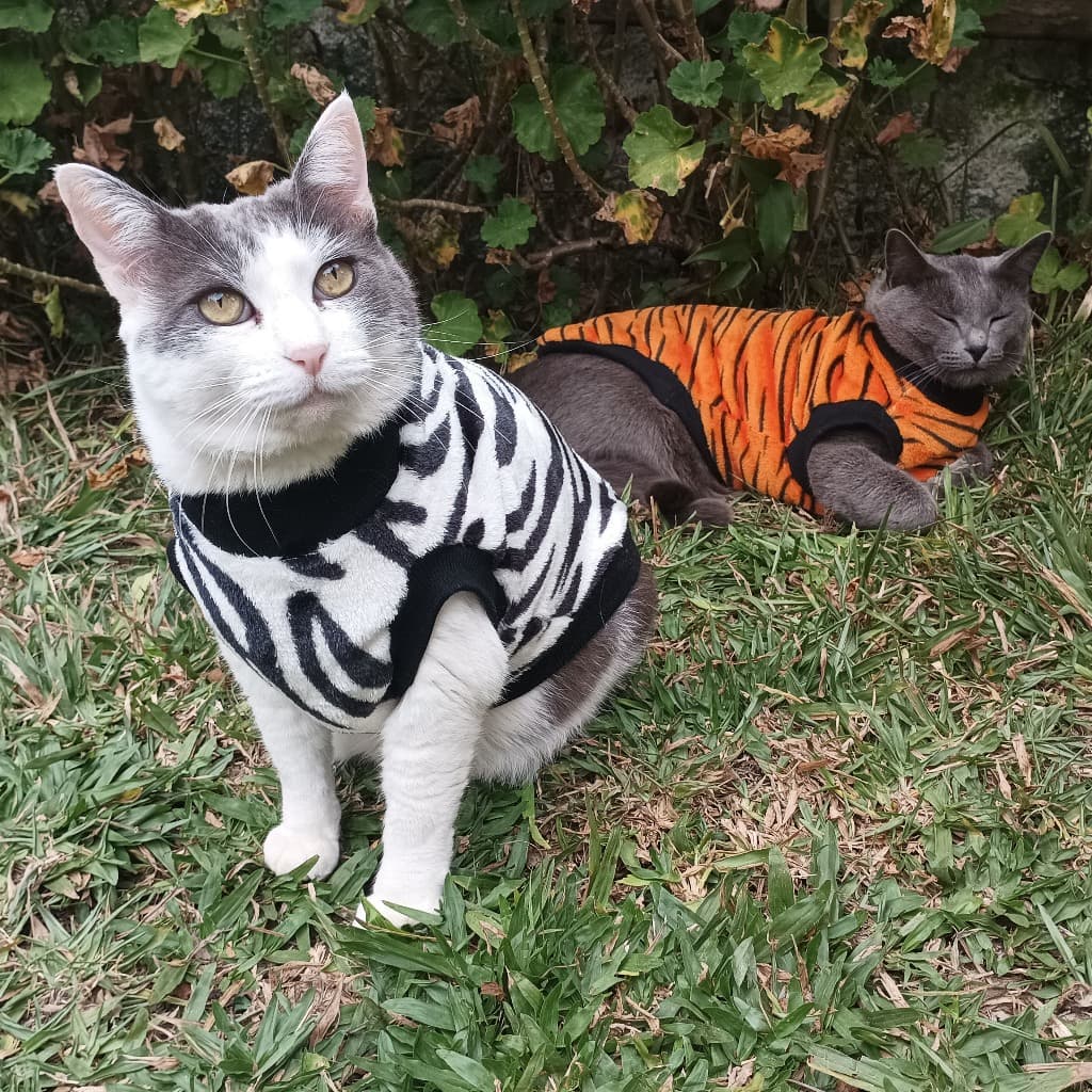 Roupa pet zoo para cachorro e gato inverno